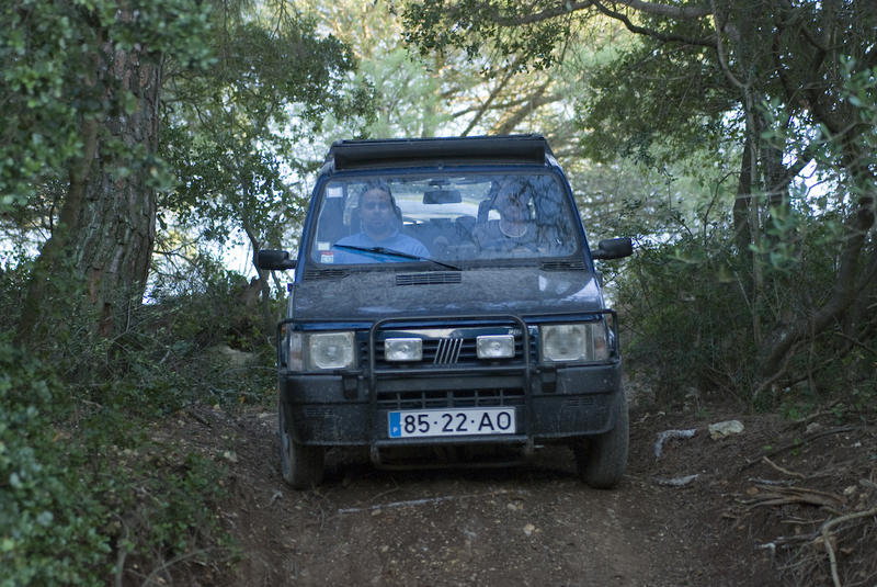 11368-20081109.jpg