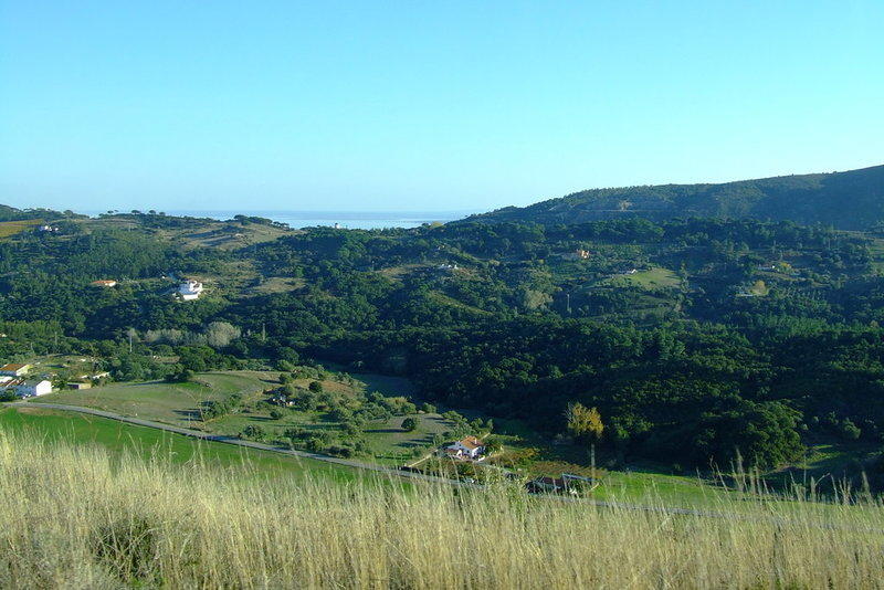 2008_1109Magusto20080063