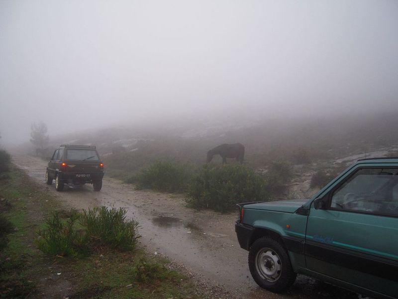 DSCN0331.JPG
