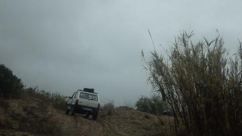 bmps (10)