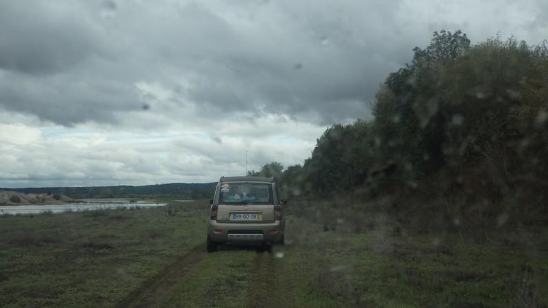 bmps (138)