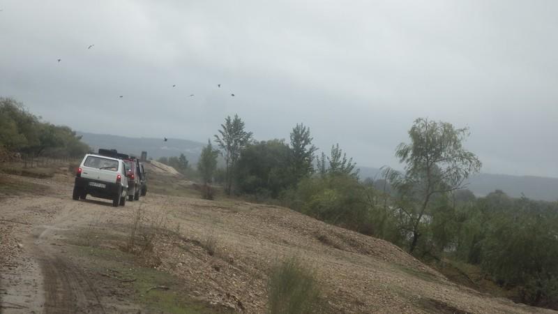 bmps (18)