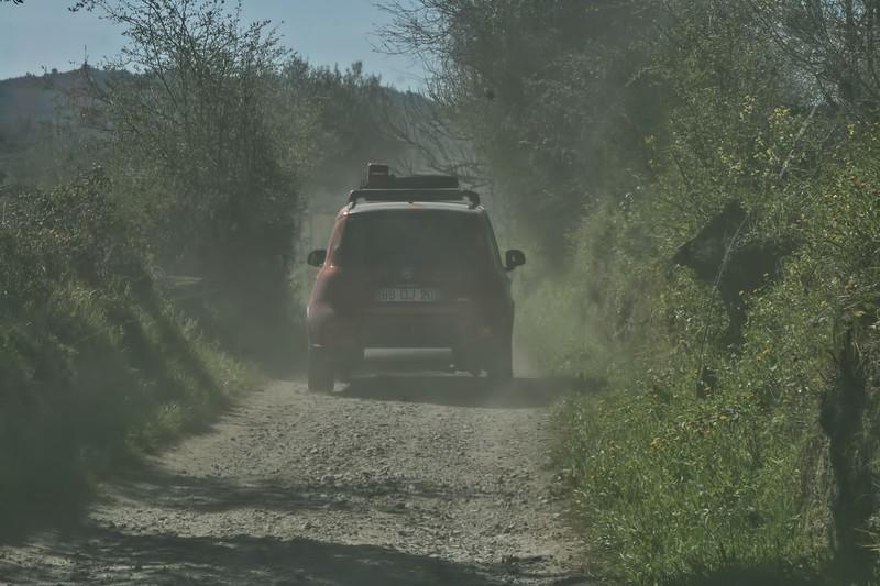 Gordon (5)