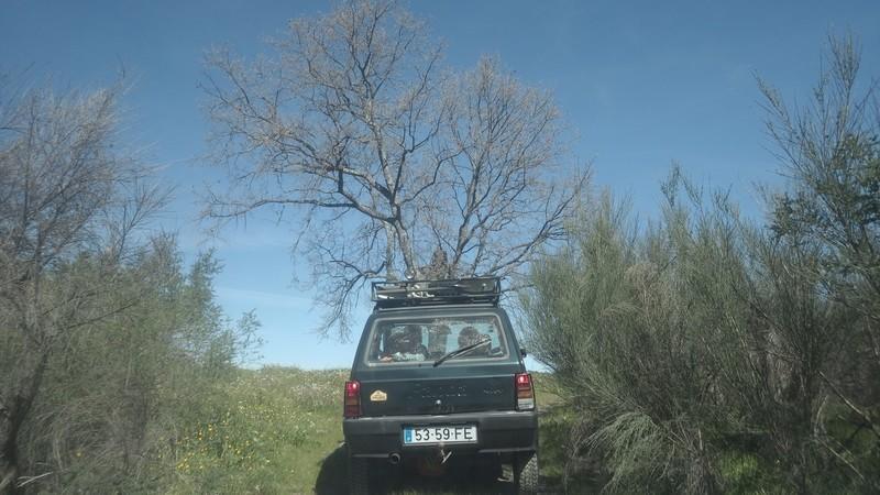bmps2003 (20)