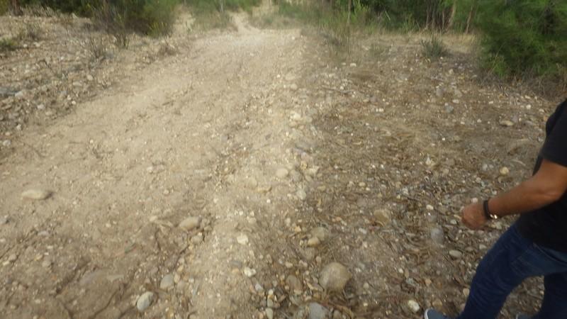 bmps2003 (18)