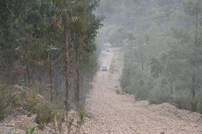 bmps (129)