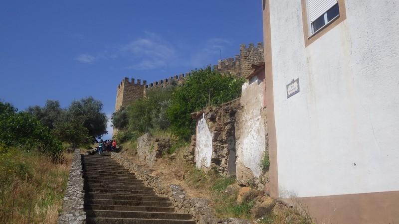 bmps (14)