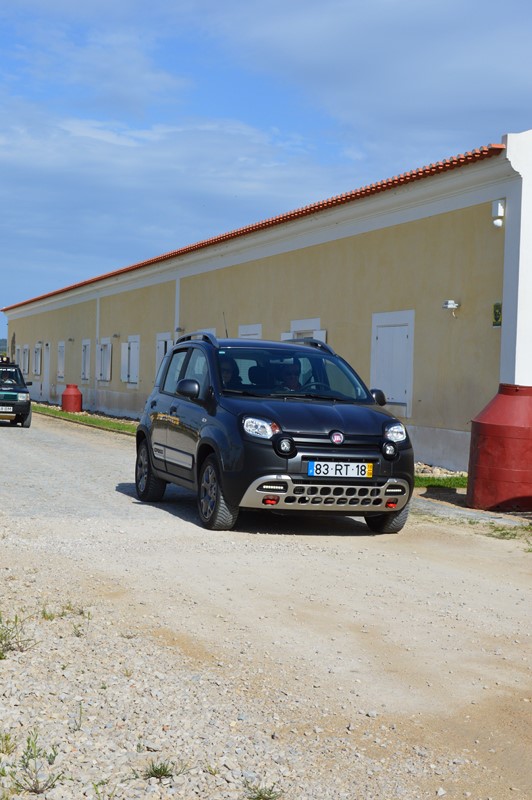 bmps (266)