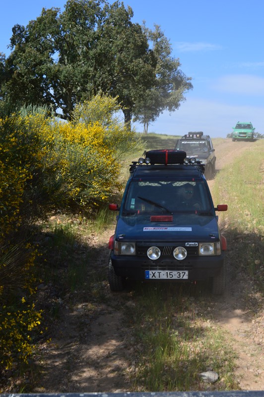 bmps (286)