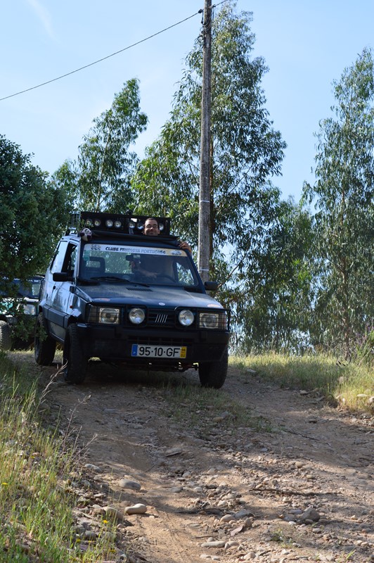 bmps (306)