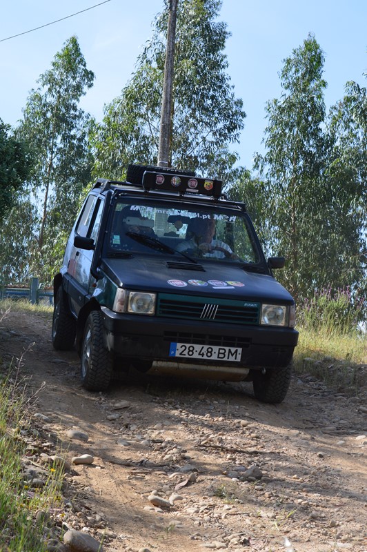 bmps (307)