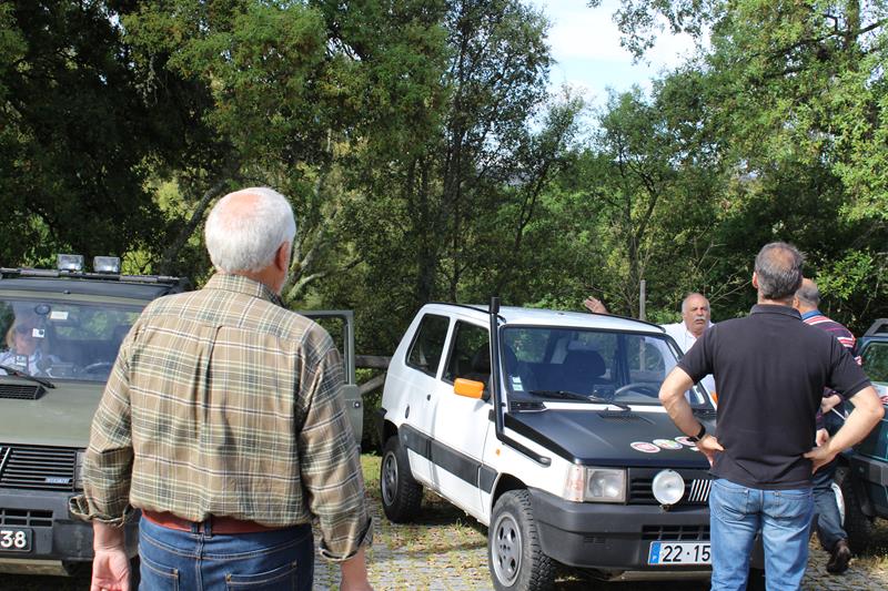 IMG 1036 (Copy)