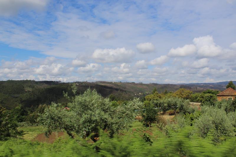 IMG 1102 (Copy)
