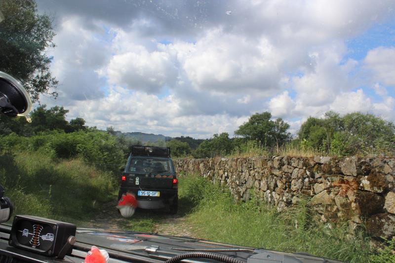 IMG 1124 (Copy)