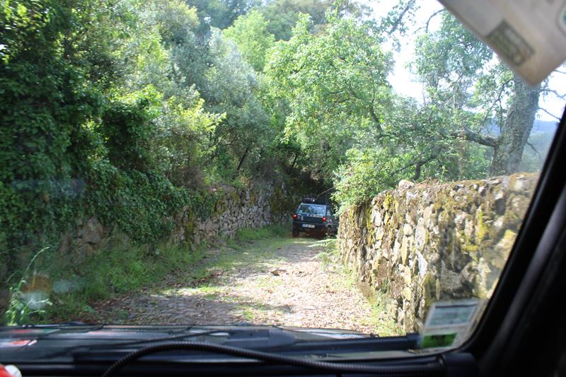 IMG 1126 (Copy)