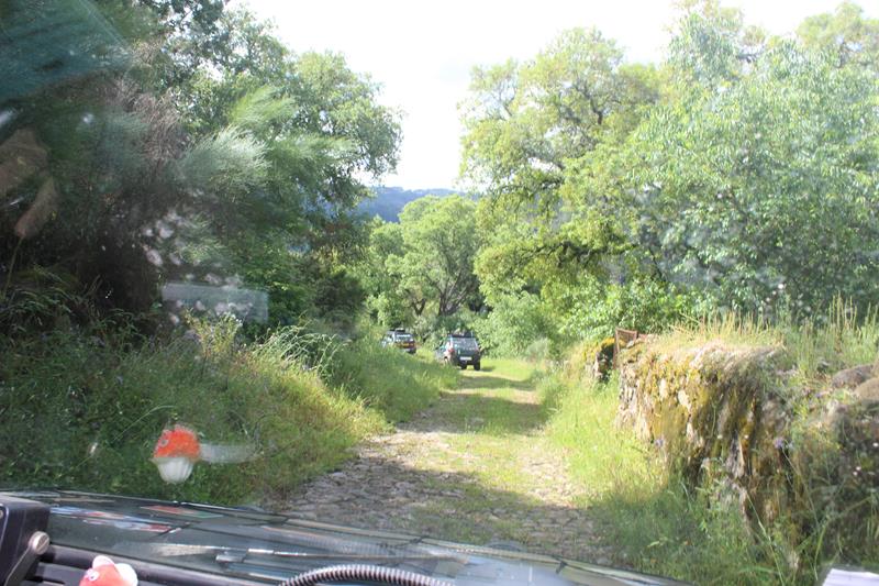 IMG 1128 (Copy)