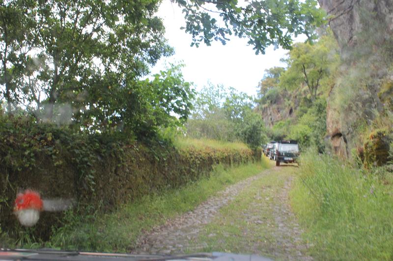 IMG 1171 (Copy)