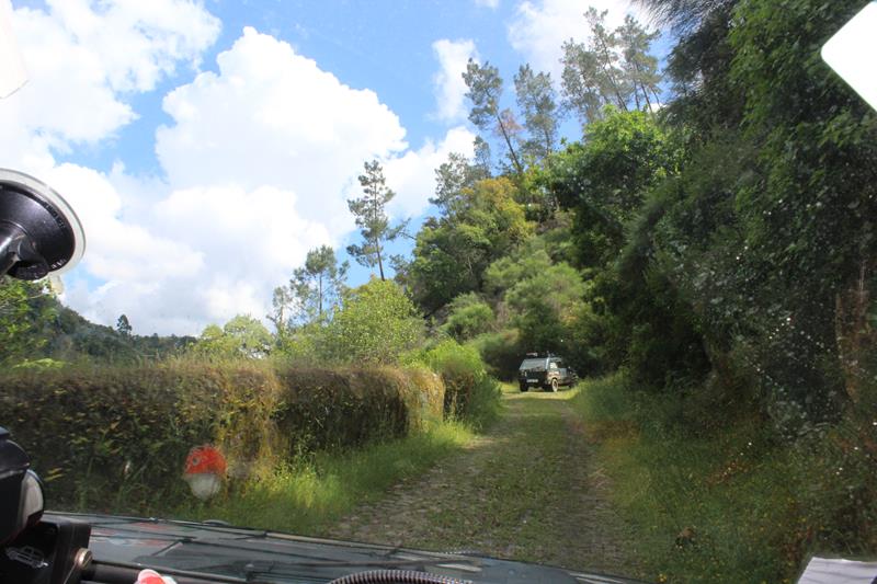 IMG 1174 (Copy)