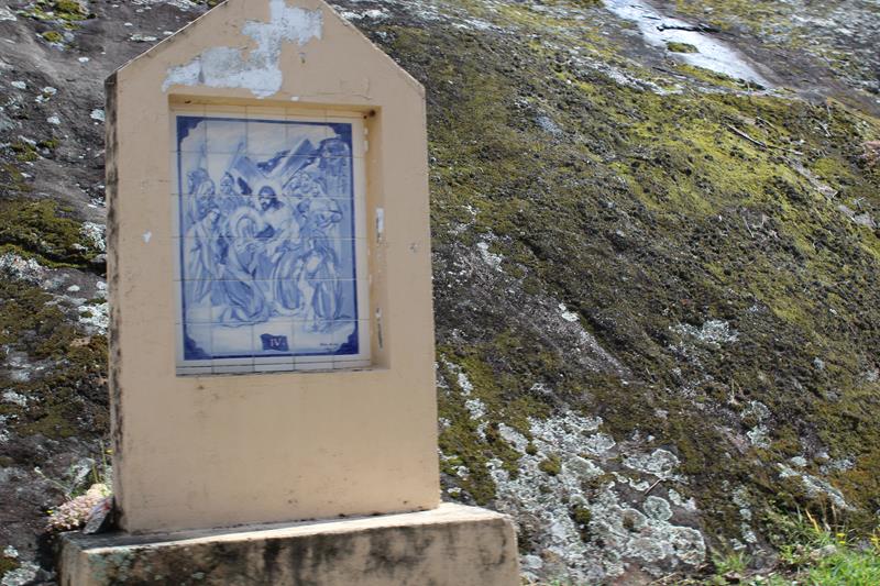 IMG 1181 (Copy)