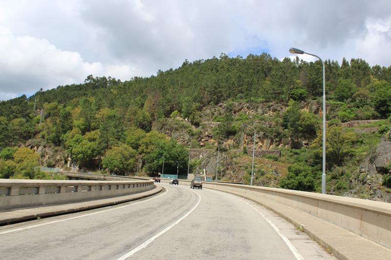 IMG 1208 (Copy)