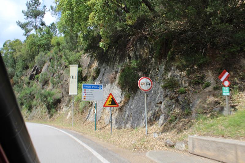 IMG 1209 (Copy)