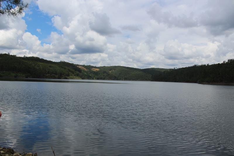 IMG 1230 (Copy)