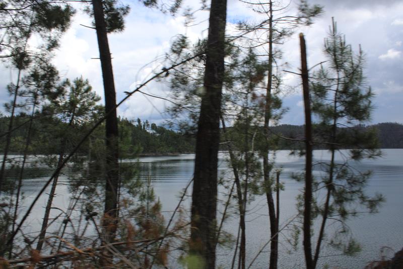 IMG 1237 (Copy)