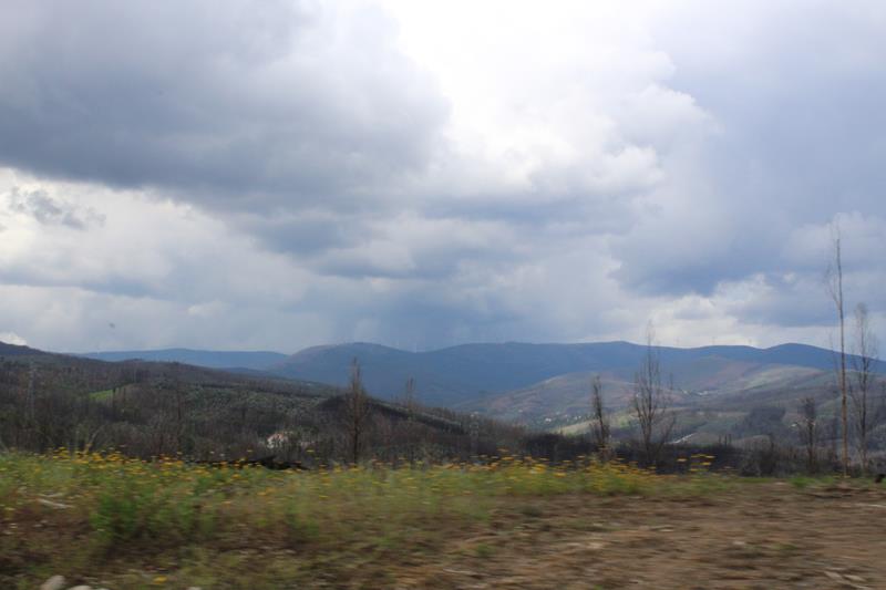 IMG 1287 (Copy)