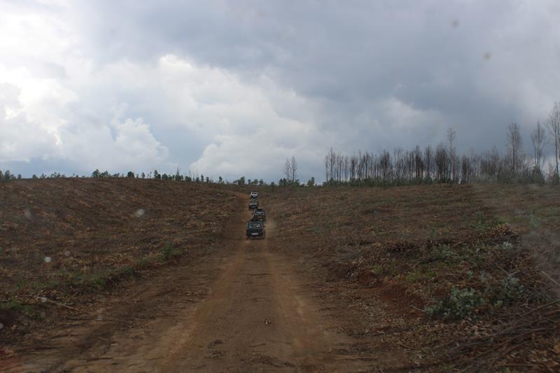 IMG 1289 (Copy)