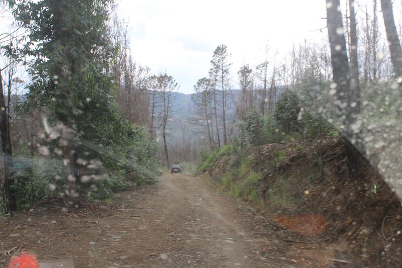 IMG 1290 (Copy)