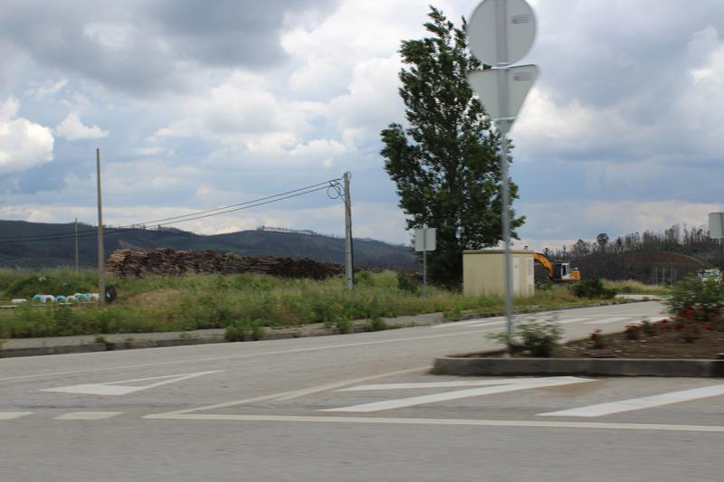 IMG 1295 (Copy)