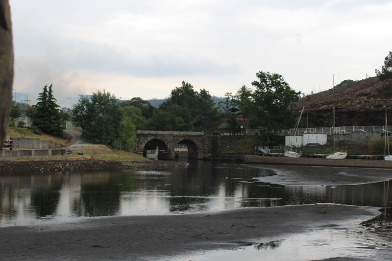 IMG 1305 (Copy)