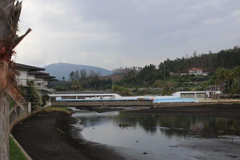 IMG 1306 (Copy)