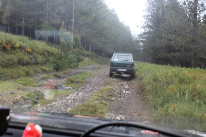 IMG 1309 (Copy)