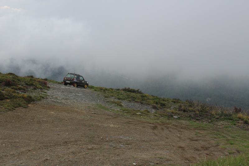 IMG 1325 (Copy)