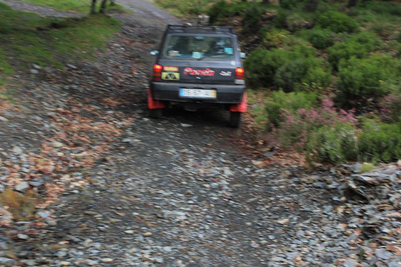 IMG 1332 (Copy)