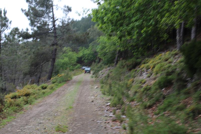 IMG 1357 (Copy)