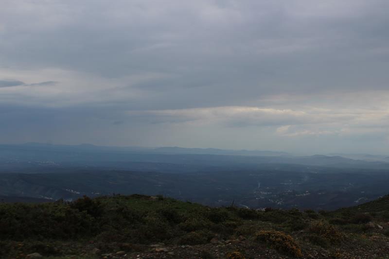IMG 1370 (Copy)