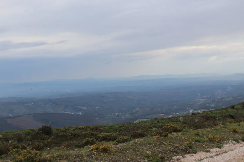 IMG 1371 (Copy)