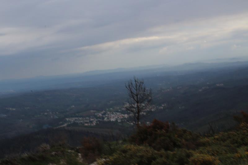 IMG 1383 (Copy)