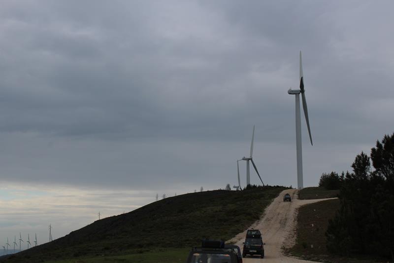 IMG 1384 (Copy)