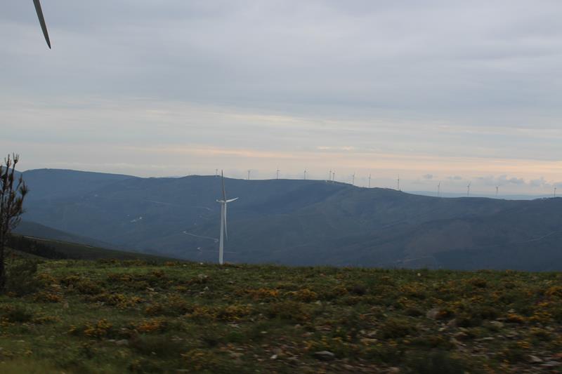 IMG 1388 (Copy)