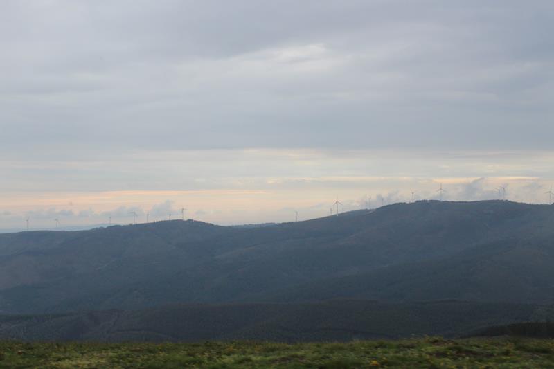 IMG 1391 (Copy)