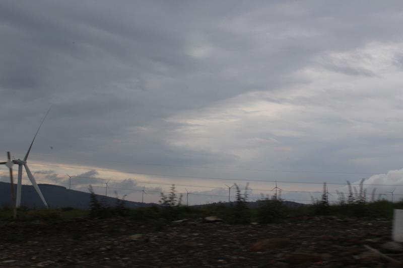 IMG 1395 (Copy)