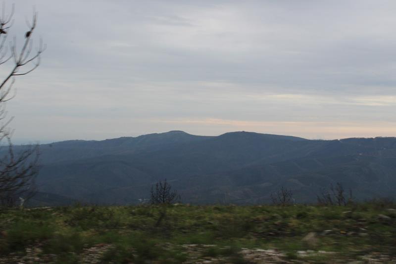 IMG 1396 (Copy)