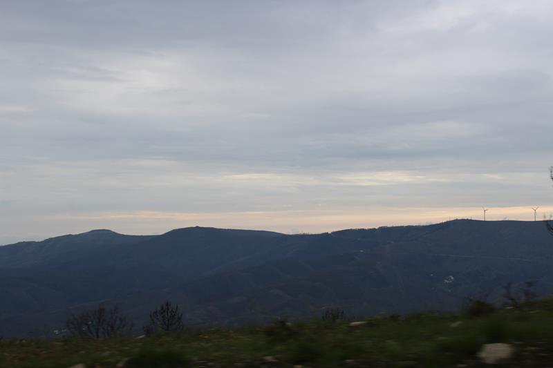 IMG 1397 (Copy)