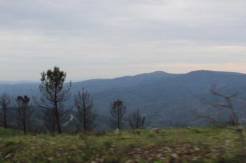 IMG 1398 (Copy)