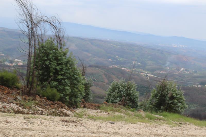 IMG 1400 (Copy)
