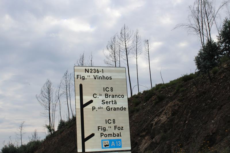 IMG 1409 (Copy)