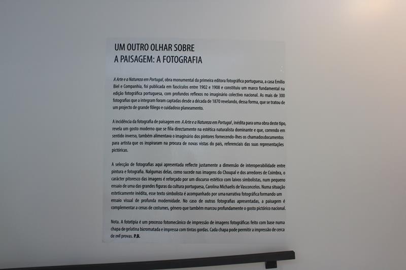 IMG 1420 (Copy)